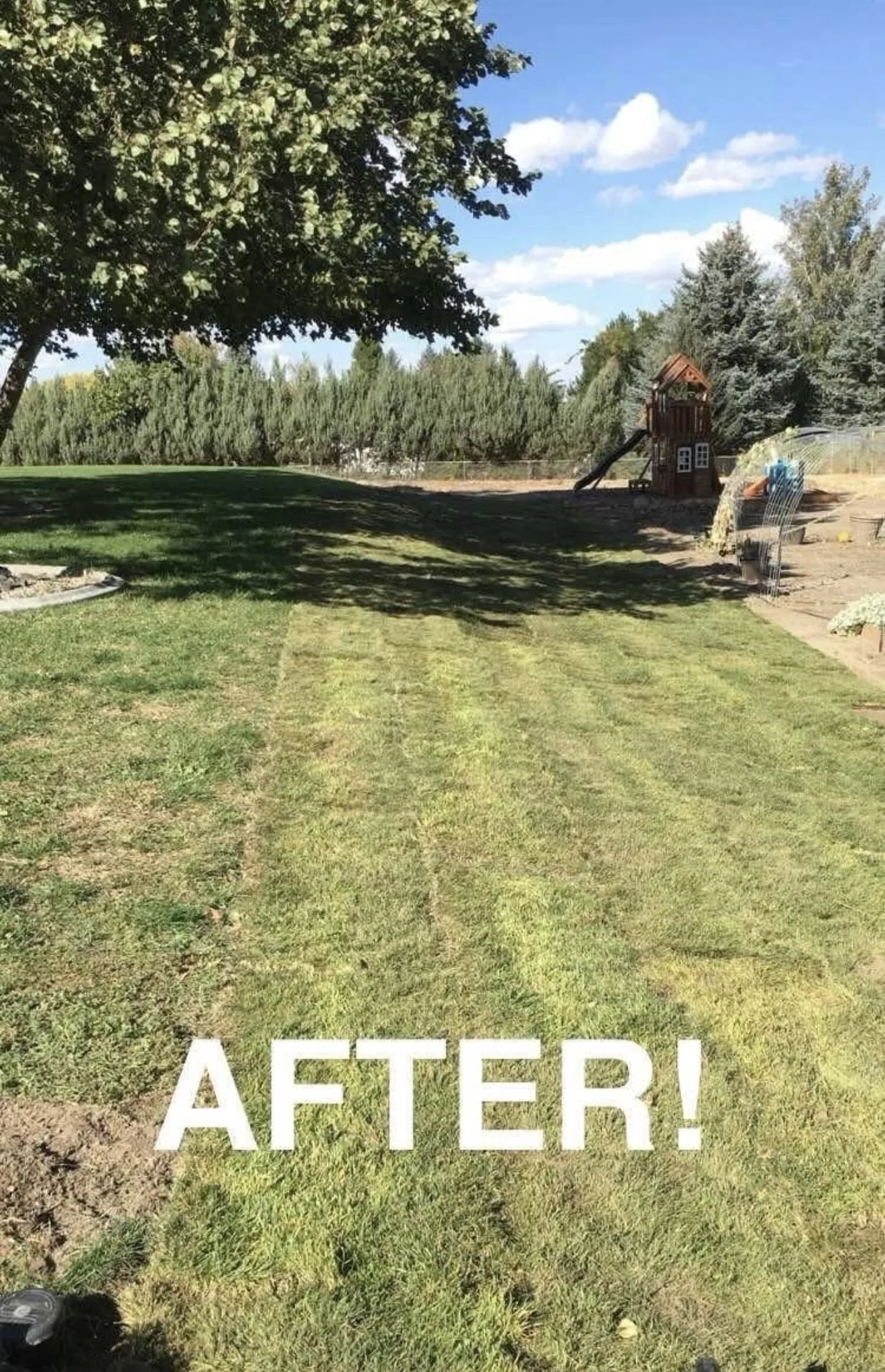 Residential backyard lawn in a photo supplied for the Guacho’s project